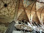 2006-0608-1420-43.jpg